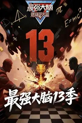 最强大脑第13季